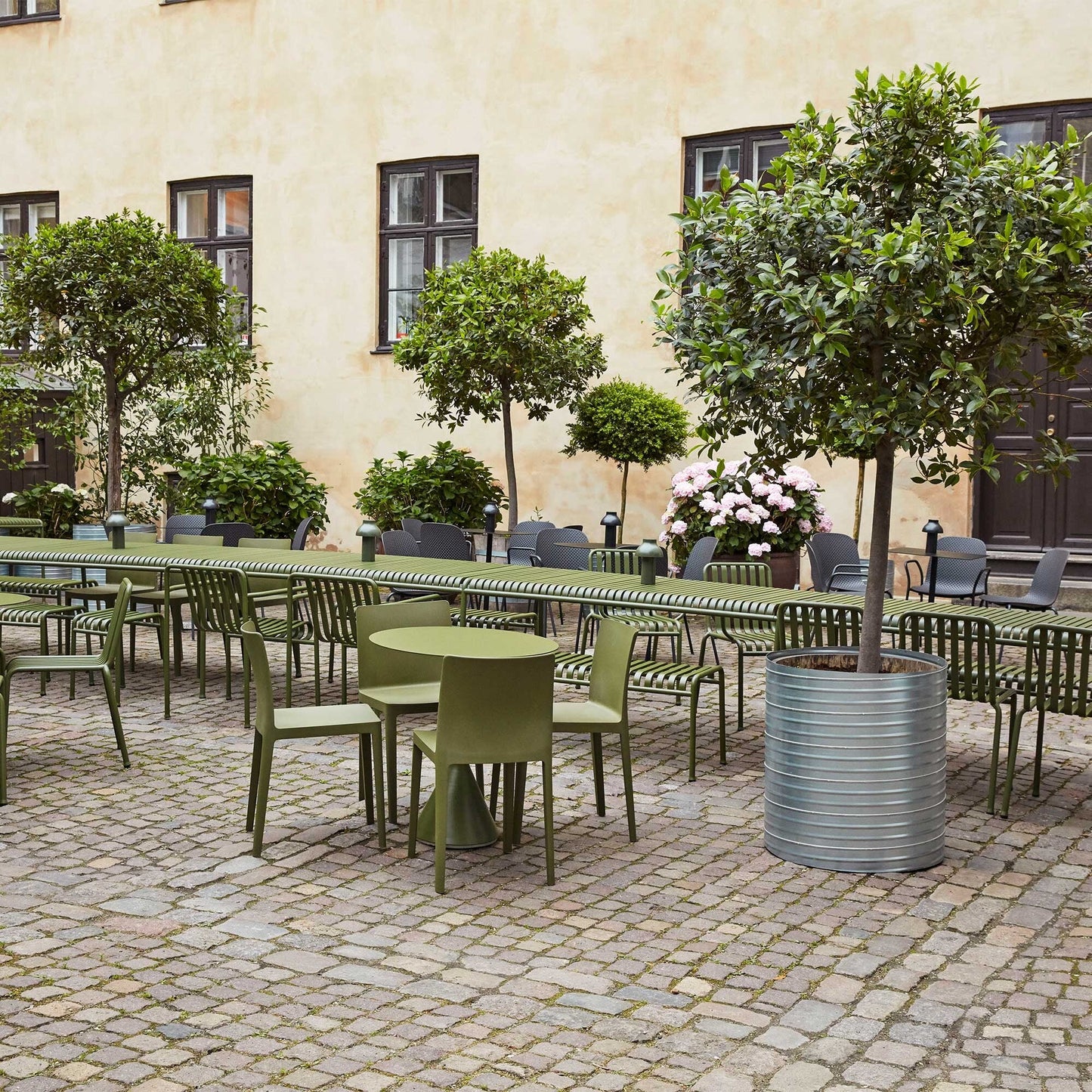 Élémentaire Stuhl 4er Set Olivgrün