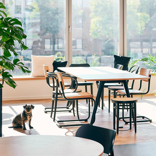 1500 Esstisch 200x100cm Schwarz