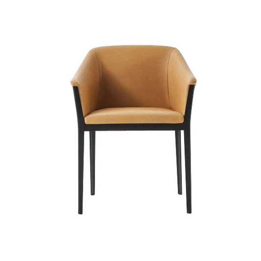 140 Cotone Slim Armlehnstuhl Schwarz