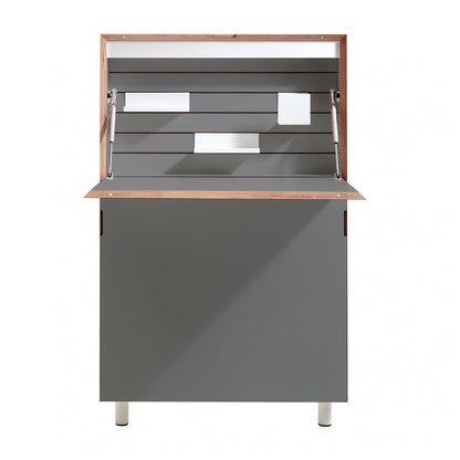 Flatmate Wandsekretär mit Birkenkante Anthrazit