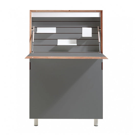 Flatmate Wandsekretär mit Birkenkante Anthrazit