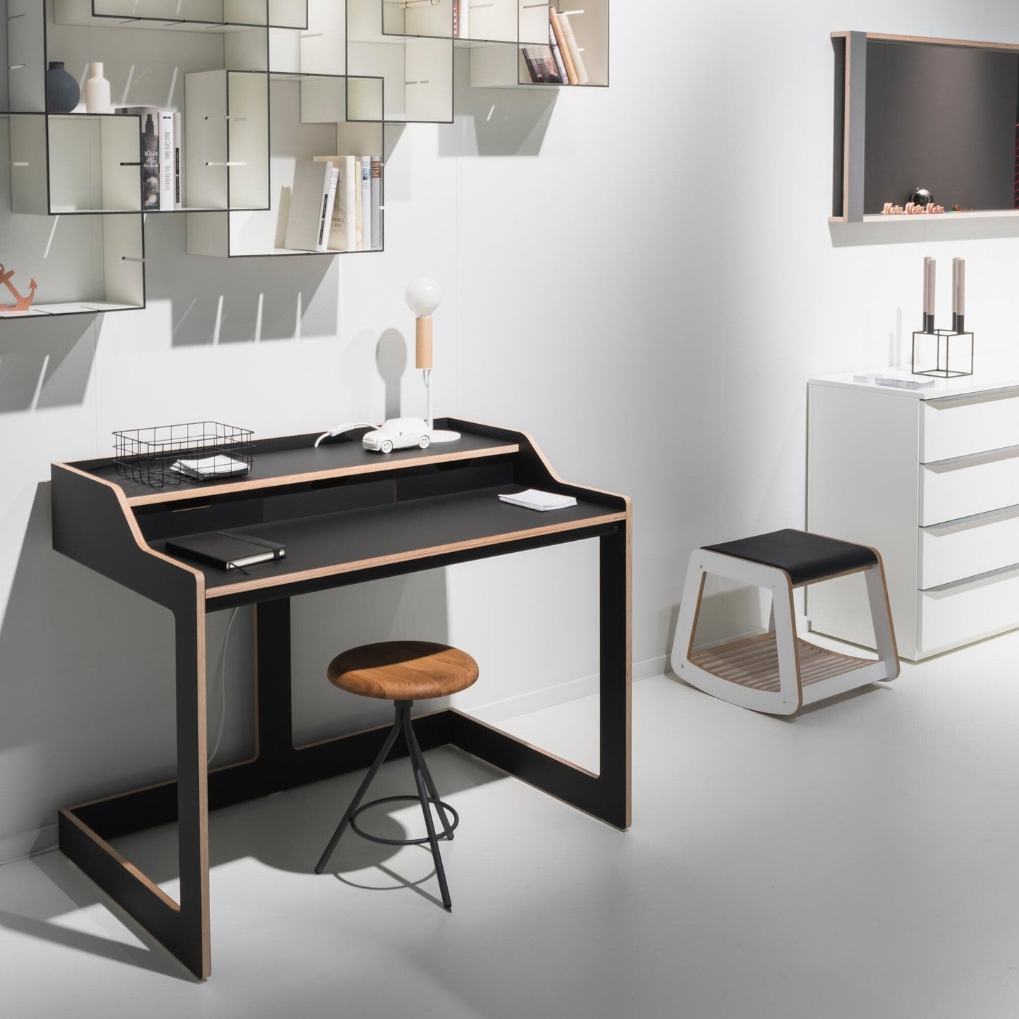 Plane Sekretär Natur